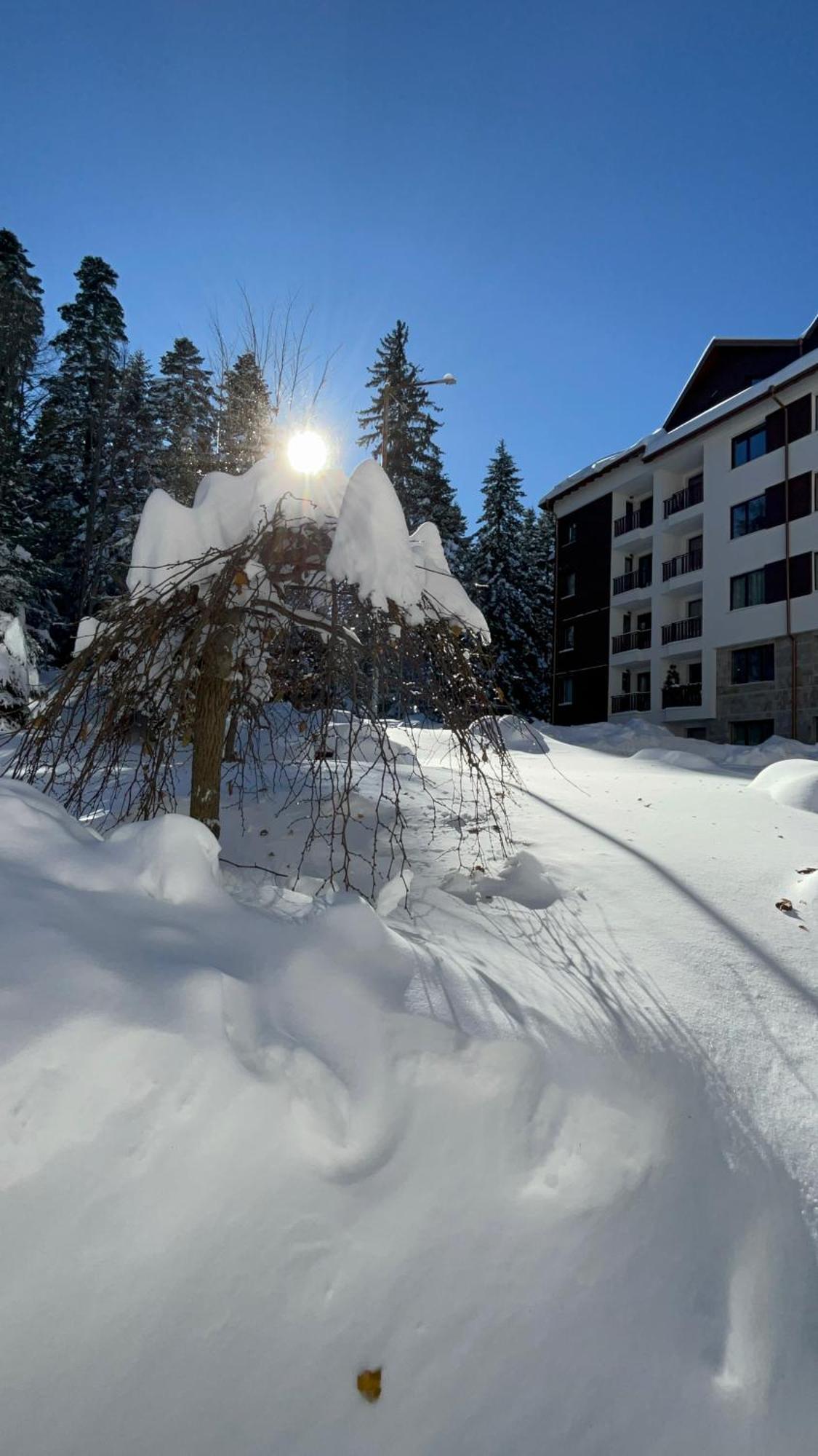 Borovets Gardens B21 Morunov Apart エクステリア 写真