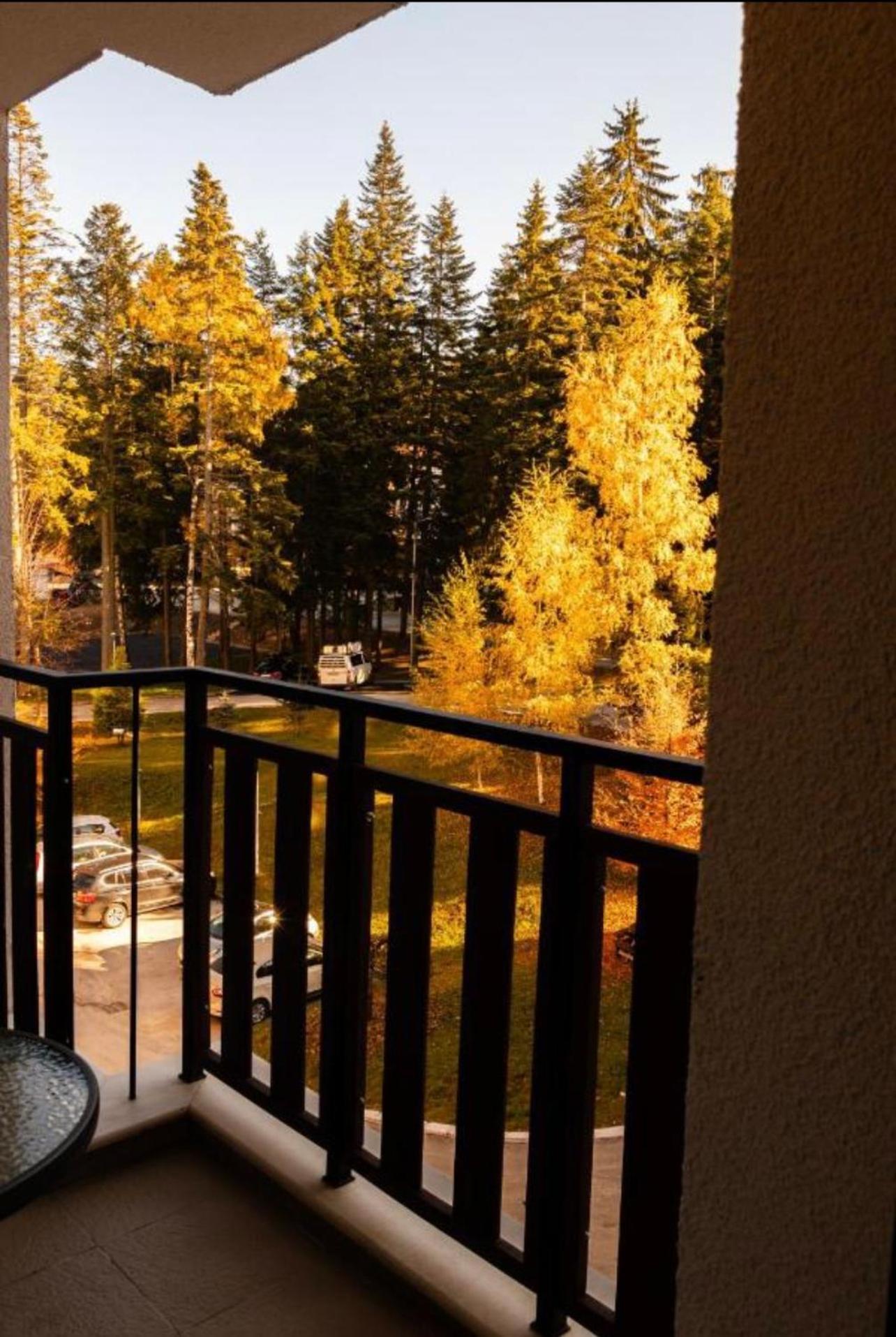 Borovets Gardens B21 Morunov Apart エクステリア 写真